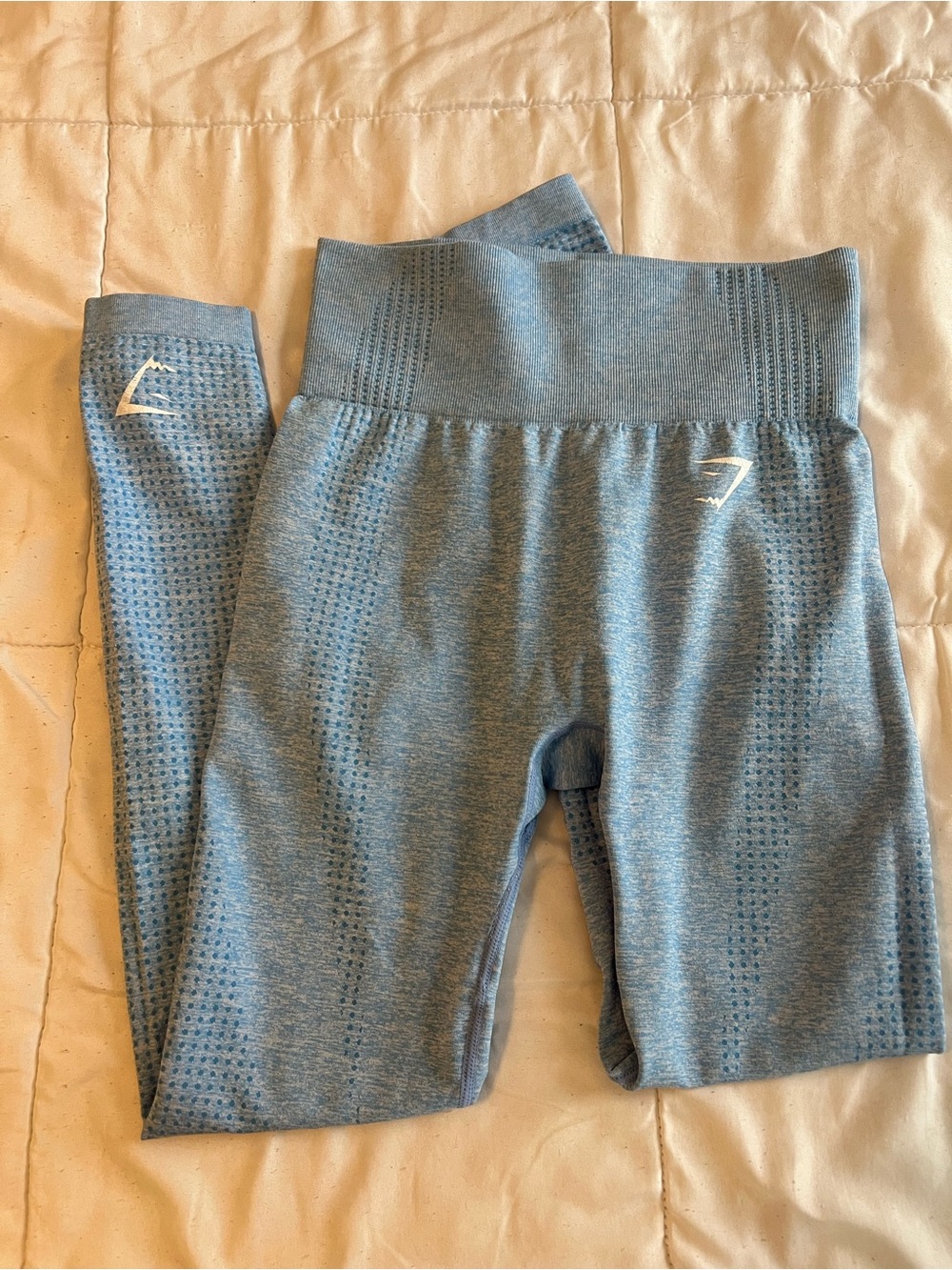 Gymshark Seamless High-Waist Leggings in Light Blue